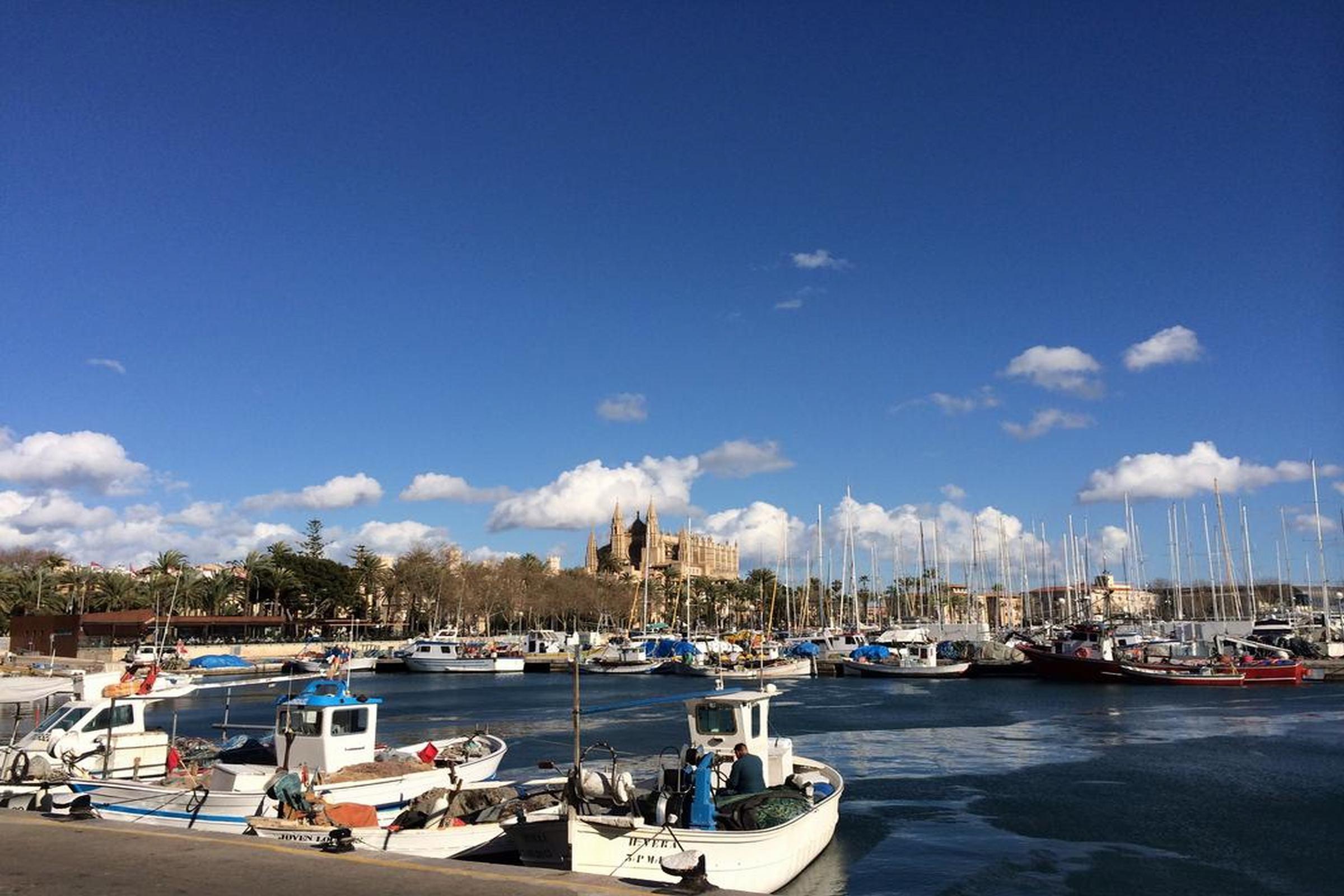 Icon Roseto Hotel Palma de Mallorca Exterior photo